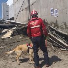  En el sitio de la emergencia se construye un centro comercial. 