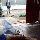  El Gobierno rechazó los actos suscitados.  