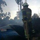  Las llamas se extendieron hasta una vivienda. Sus dueños llamaron a los equipos de emergencia. 