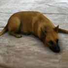  El filtro estilo ‘sticker’ fue creado por el usuario Antonio Ruggiero. 