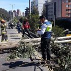  En el hecho ninguna persona herida, ni hubo daños a los vehículos. El tendido eléctrico termino en el piso. 