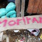  Los mensajes aparecieron en algunas partes de la zona minera Buenos Aires. 