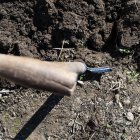  Aaron Frased tenía 3 años cuando fue testigo del asesinato de su madre. 