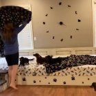  Ahora todos están cómodos. 