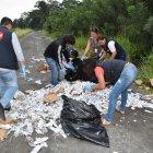  Autoridades recolectaron más 4,400 cremas abandonadas 