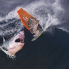  Referencial. Este es el primer muerto por ataque de tiburón en Hawaii desde el 2015. 