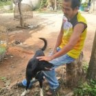  El amo del can dice que este es muy fiel y le ayuda en las labores del campo. 