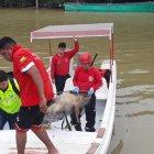  Heiner Piure Naranjo terminó llevándose la sorpresa que entre la verde vegetación había un cuerpo sin sus brazos y piernas. 
