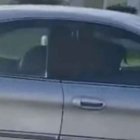  El can estuvo al volante casi una hora. 