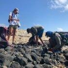  Desde esta semana inició en el archipiélago una clasificación de desechos sólidos. 