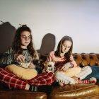  Mediante un estudio, se observó que los perros reaccionaban a la tele de maneras distintas.  