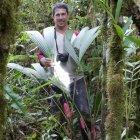  La nueva flor fue encontrada durante una expedición botánica de varios días en el área de influencia de la cordillera del Cóndor. 