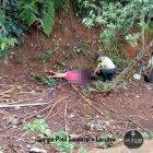  La herida fue localizada a pocos metros de la casa, tras ser arrojada y apuñalada.  