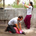  Se trató de una lechuza y un lobo marino que fueron rescatados en malas condiciones de salud. Una tortuga no logró sobrevivir. 