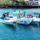  La jornada se llevará a cabo hasta el próximo 30 de octubre. Los pescadores deberán presentar algunos requisitos para obtener certificado de registro. 