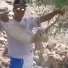  El audiovisual que recoge el hecho dura 18 segundos y se ha hecho viral. 