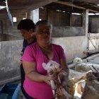  El cerdo nació el pasado viernes en Santa Ana, en Machala. Se cree que sus deformidades se deben al consumo de químicos. 