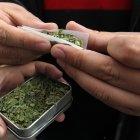  El consumo de cannabis no es algo propio de la calle o barrios marginales del país, también existe en el mundo universitario. 