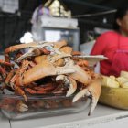  Un estudio de la Universidad Regional Amazónica Ikiam muestra que la contaminación en los manglares afecta directamente al crustáceo. 