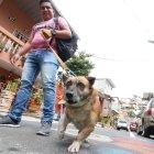  ‘Jota’ es tranquilo, pero cuando ve a un desconocido empieza a ladrar. No ataca si no percibe malas intenciones, contó su dueño. 