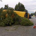  El accidente se registró la mañana del lunes 18 de marzo, en la avenida Simón Bolívar.  
