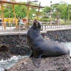  El Observatorio de Turismo, que trabaja en el manejo adecuado del turismo en las islas, busca fortalecerse. 