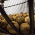  La pareja guardó el boleto de lotería en un libro. Retiraron su premio un año después.  