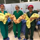  Los seis infantes están en buenas condiciones se salud. 