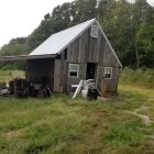  Los animales fueron descubiertos en la propiedad de Tiffany Woodington, en Missouri. 