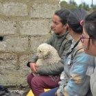  Pelusa ladró para alertar a la familia sobre el incendio.  