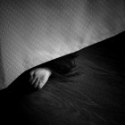  Imagen referencial. Los cuerpos de los menores fueron encontrados cerca de su vivienda.  