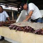  La segunda veda será el 15 de agosto.  