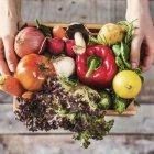  El lavado de frutas y verduras debe incluir una solución con vinagre o bicarbonato para desinfectarlas.  