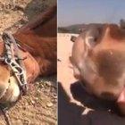  El vídeo tiene más de 23 millones de visitas. 