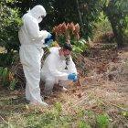  Investigadores rastrean los lugares aledaños en donde se hallaron partes del cuerpo para intentar encontrar las que faltan.  