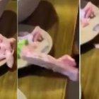  Pollo ‘zombie’ asusta a los comensales. 