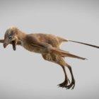  El dinosaurio estaría compuesto por elementos óseos y las estructuras epidérmicas que forman las alas.  