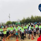 En el evento deportivo se receptarán donaciones para perros y gatos rescatados. 