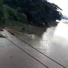  En esta imagen se observa al chico hundirse. Ya no salió más del agua.  