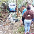  El bus quedó entre unos cultivos de banano. 