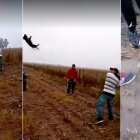  Lo lanzan al aire y le dan con un palo, hasta acabar con su vida.  