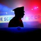   La actualización de cifras del proyecto depende de lo suministrado por cada gobierno y las alianzas respectivas.  