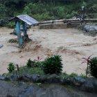  La corriente creció debido a la lluvia.  