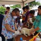  Las mascotas deben estar en ayuno de 8 horas  