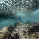  El informe es el primero en analizar de manera tan exhaustiva las causas, las consecuencias y las soluciones del bajo nivel de oxígeno en las aguas de todo el mundo. 