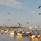  Pescadores enviaron un pliego con cinco peticiones a la Presidencia de la República. 