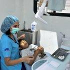  7 actividades realizarán los médicos con sus pacientes para brindarles una mejor salud oral.  