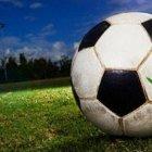  Para estar dentro de la legalidad, el consumidor deberá poseer un certificado médico traducido y certificado en ruso.  