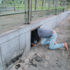  Debajo de la estructura de la parada duermen varios de ellos. Sus cosas están ahí dentro. 