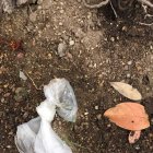  Una de las fundas supuestamente con veneno que encontraron los perjudicados.  